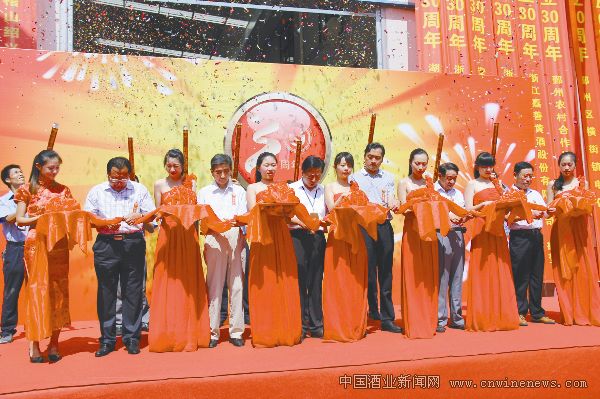 點(diǎn)擊放大