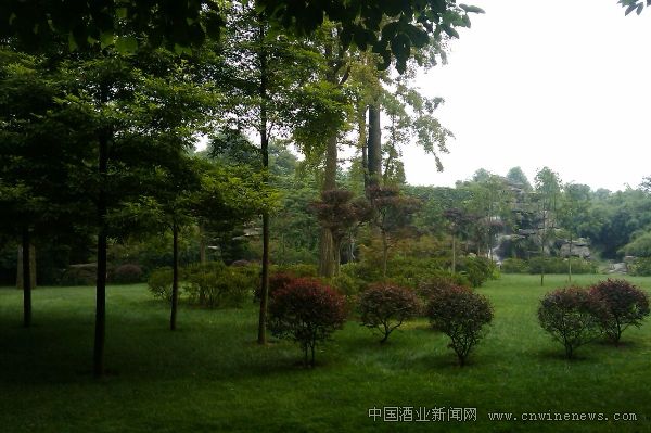 點擊放大