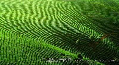 點擊放大
