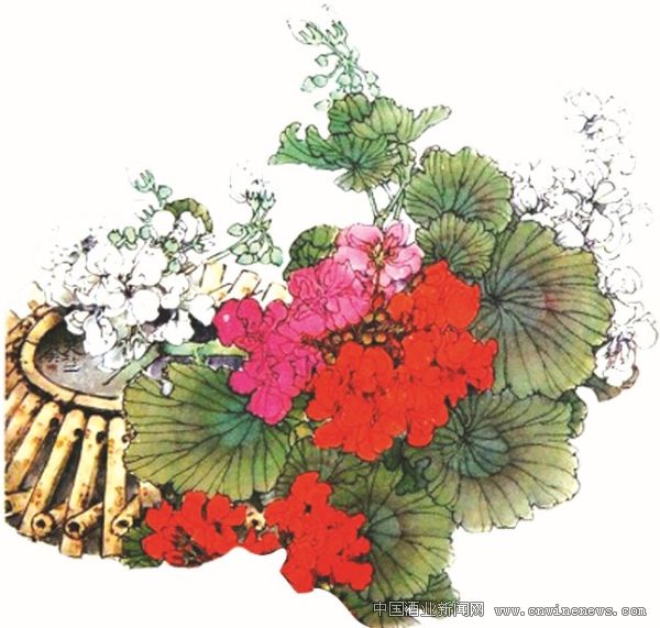 點(diǎn)擊放大