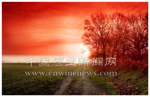 點擊放大