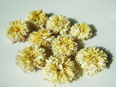 菊花清熱解毒
