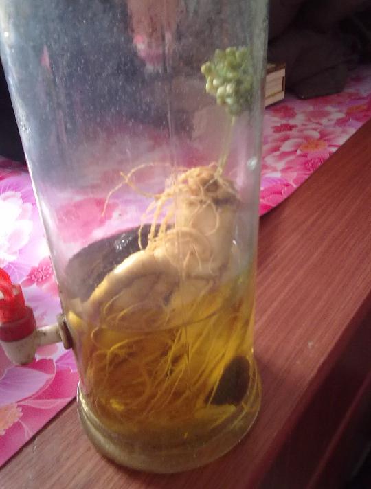 點擊查看原圖