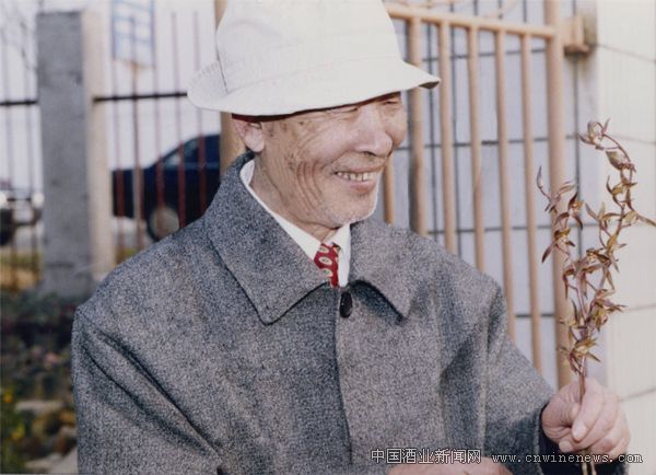點擊放大
