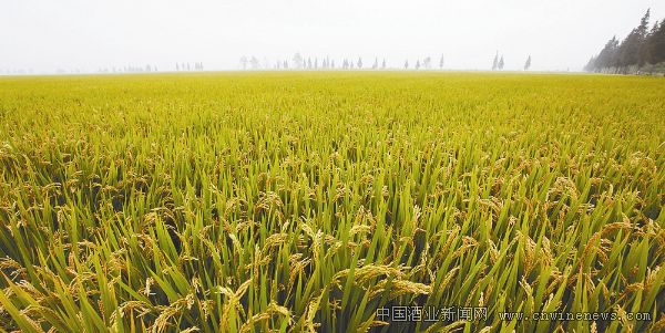 點擊放大