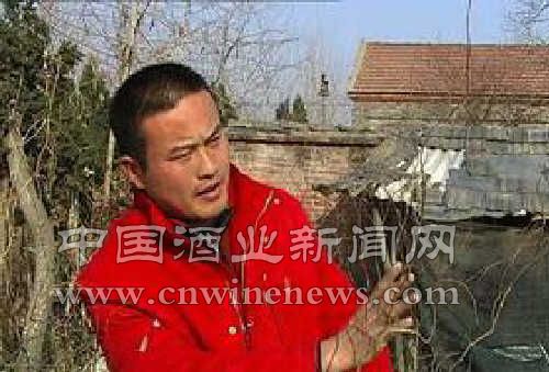 點擊放大