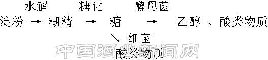 點(diǎn)擊放大
