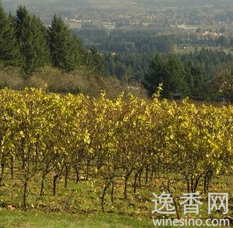 威拉麥狄谷
