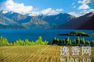 新西蘭