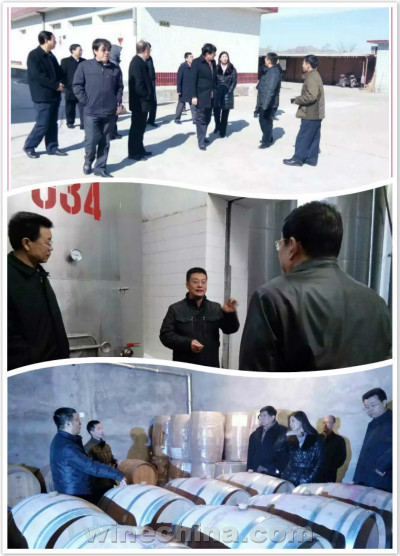 中國(guó)葡萄酒地理標(biāo)志示范區(qū)有望在沙城建立