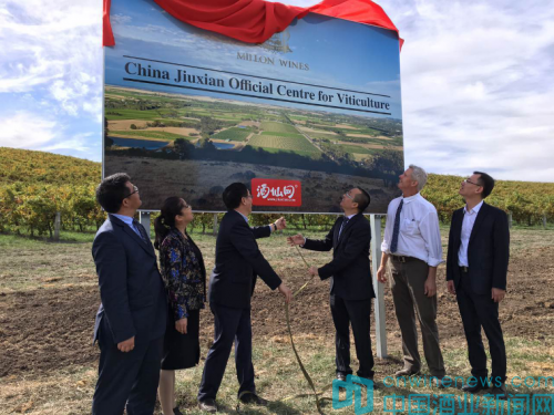 酒仙網與澳州米隆酒莊達成戰略合作獲專屬葡萄園