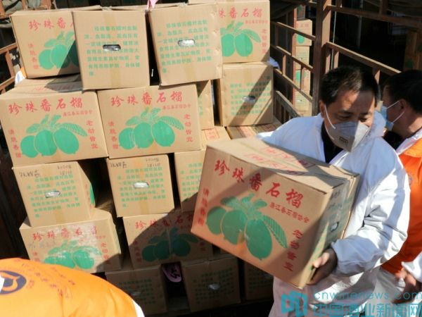 白云邊酒業一批優秀志愿者獲表彰